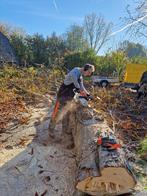 boom verwijderen zagen kappen, Ophalen of Verzenden, Volle zon, Overige soorten