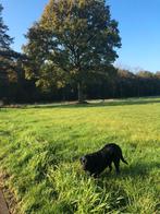 Tijdelijke woonruimte gezocht april/mei/juni 2026