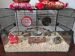Veel kooien / terrariums / toebehoren voor hamsters, Kooi, Minder dan 75 cm, Hamster, Ophalen