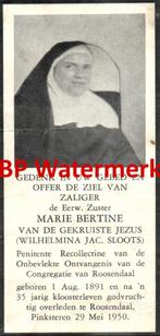Sloots Wilhelmina 1891 1950 Roosendaal  zr Bertine - 20846, Verzamelen, Bidprentjes en Rouwkaarten, Bidprentje, Ophalen of Verzenden