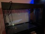 Aquarium JUWEL, Dieren en Toebehoren, Vissen | Aquaria en Toebehoren, Ophalen of Verzenden, Zo goed als nieuw, Leeg aquarium