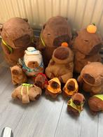 Nieuwe Capibara Knuffels Collectie, Kinderen en Baby's, Speelgoed | Knuffels en Pluche, Ophalen of Verzenden, Nieuw, Overige typen