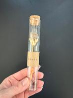 Droogbloemetje in glazen buisje - Decoratie, Ophalen, Overige kleuren, Minder dan 50 cm, Glas