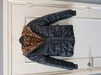 Vingino jas meisjes mt 140 2 kanten draagbaar als nieuw, Ophalen of Verzenden, Zo goed als nieuw, Maat 34 (XS) of kleiner