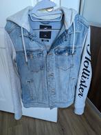 Hollister Spijker/Sweatjas XS, Blauw, Ophalen of Verzenden, Zo goed als nieuw, Hollister