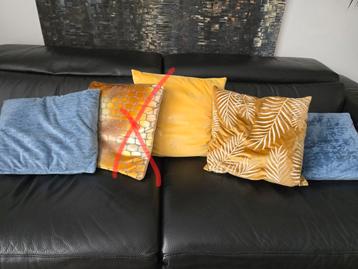 Mooie kussens (knibbeler) ZGAN  5,- p.st beschikbaar voor biedingen