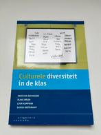 Hans van der Heijde - Culturele diversiteit in de klas, Hans van der Heijde; Klaas Bruin; Luuk Kampman; Saskia Ooster..., Sociale wetenschap