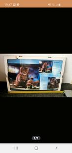 Poster kitten poes nieuw Verzendkosten koper, Ophalen of Verzenden, Nieuw