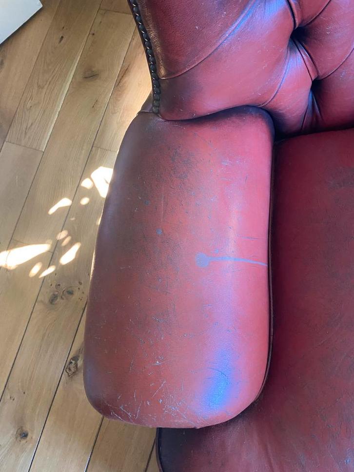 Chesterfield fauteuil met kattensporen - Bieden!, Huis en Inrichting, Fauteuils, Gebruikt, Leer, 75 tot 100 cm, Ophalen