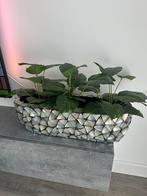 Schelpenvaas 60 cm, Huis en Inrichting, Ophalen of Verzenden
