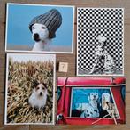 Set 7 4 HONDEN kaarten postcrossing nieuw, Verzamelen, Ansichtkaarten | Dieren, Ophalen of Verzenden, 1980 tot heden, Hond of Kat