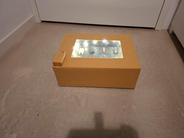 Sinterklaas surprise insectenvitrine met licht, Diversen, Sinterklaas, Nieuw, Ophalen of Verzenden