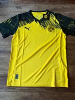 BVB Dortmund shirt 2025/2026 thuis - Maat M, Sport en Fitness, Voetbal, Ophalen of Verzenden, Nieuw, Overige typen