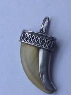 Victoriaanse Zilveren Hanger Jachttrofee/nagel van Tijger, Ophalen of Verzenden, Zilver, Hanger