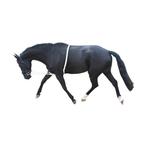 Longeerhulp katoen wit, Dieren en Toebehoren, Paarden en Pony's | Hoofdstellen en Tuigage, Ophalen of Verzenden, Zo goed als nieuw