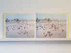 Massimo Vitali Landscape with Figures, Ophalen, Zo goed als nieuw, Fotografen