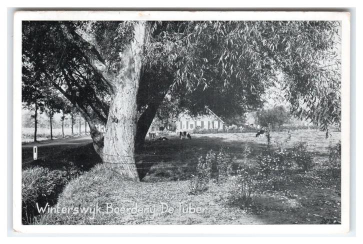 Winterswijk, Boerderij "De Tuber", Verzamelen, Ansichtkaarten | Nederland, Ongelopen, Gelderland, 1940 tot 1960, Verzenden