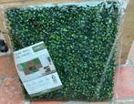 Kunstmatig planten muur buxus 52 x 52 cm NIEUW 1 paneel, Huis en Inrichting, Ophalen of Verzenden, Nieuw