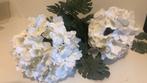 Hortensia bollen, Ophalen of Verzenden