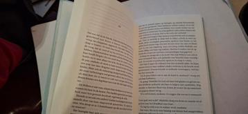 Theo Hoogstraaten - Dans om de troon beschikbaar voor biedingen