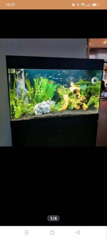 Heel mooi aquarium te koop 