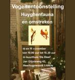 Kromsnavels en Parkieten, Dieren en Toebehoren, Meerdere dieren, Parkiet, Geringd