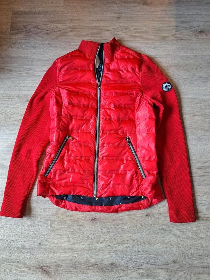 HV Polo/Society gewatteerde jas dames maat M lente/herfst, Kleding | Dames, Jassen | Zomer, Nieuw, Maat 38/40 (M), Rood, Ophalen of Verzenden