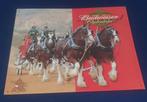 Wandbord budweiser, Verzamelen, Ophalen of Verzenden, Zo goed als nieuw, Reclamebord, Plaat of Schild