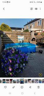 Bestway Zwembad, Ophalen, Minder dan 80 cm, Opzetzwembad, 200 tot 400 cm