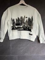 Nieuw! Taylor Swift ivy holiday sweater, kindermaat YM, Jongen of Meisje, Trui of Vest, Nieuw, Taylor Swift