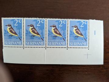 SURINAME 1966; NIEUWE PLAATFOUT NVPHNR 440 LEES beschikbaar voor biedingen