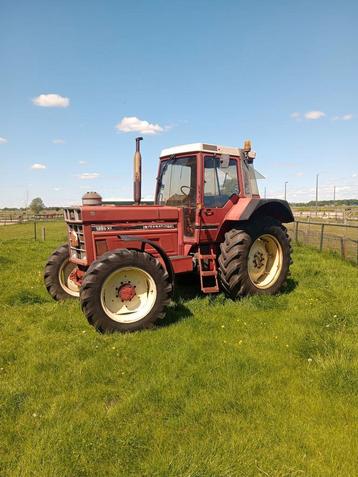 International 1255  beschikbaar voor biedingen