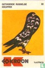 Kroon lucifermerk - Getijgerde Rijsselse Kropper, Ophalen of Verzenden, Zo goed als nieuw, Luciferdoosjes of -merken