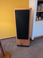 Tannoy D900, Gebruikt, 120 watt of meer, Front, Rear of Stereo speakers, Ophalen