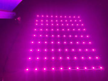 Fhillips led 30 watt 220 volt kweeklampen  beschikbaar voor biedingen