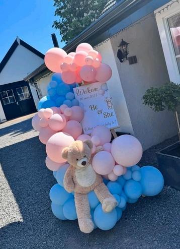 Babyshower gender reveal  beschikbaar voor biedingen