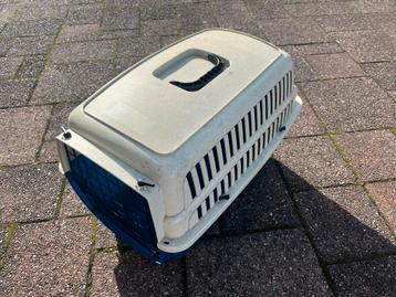 Katten mand beschikbaar voor biedingen