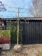 Lei bomen en dakbomen in soorten en maten nu planttijd, Ophalen of Verzenden