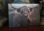 Te koop; decoratie bordjes, Minder dan 50 cm, Nieuw, Ophalen of Verzenden, Schilderij