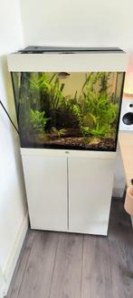 Juwel Aquarium Lido 120L LED zonder of met CO2 systeem, Dieren en Toebehoren, Vissen | Aquaria en Toebehoren, Ophalen, Gebruikt