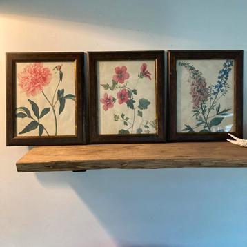 Vintage Bloemen Prenten - 3 Luik beschikbaar voor biedingen