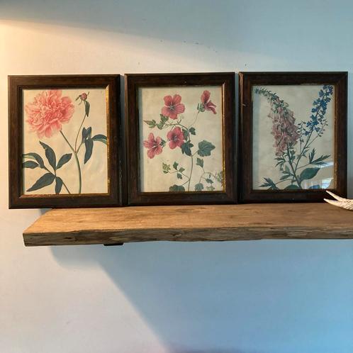 Vintage Bloemen Prenten - 3 Luik, Antiek en Kunst, Curiosa en Brocante, Ophalen of Verzenden