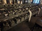 Technogym dumbell set compleet, Sport en Fitness, Fitnessmaterialen, Ophalen, Zo goed als nieuw, Dumbbell