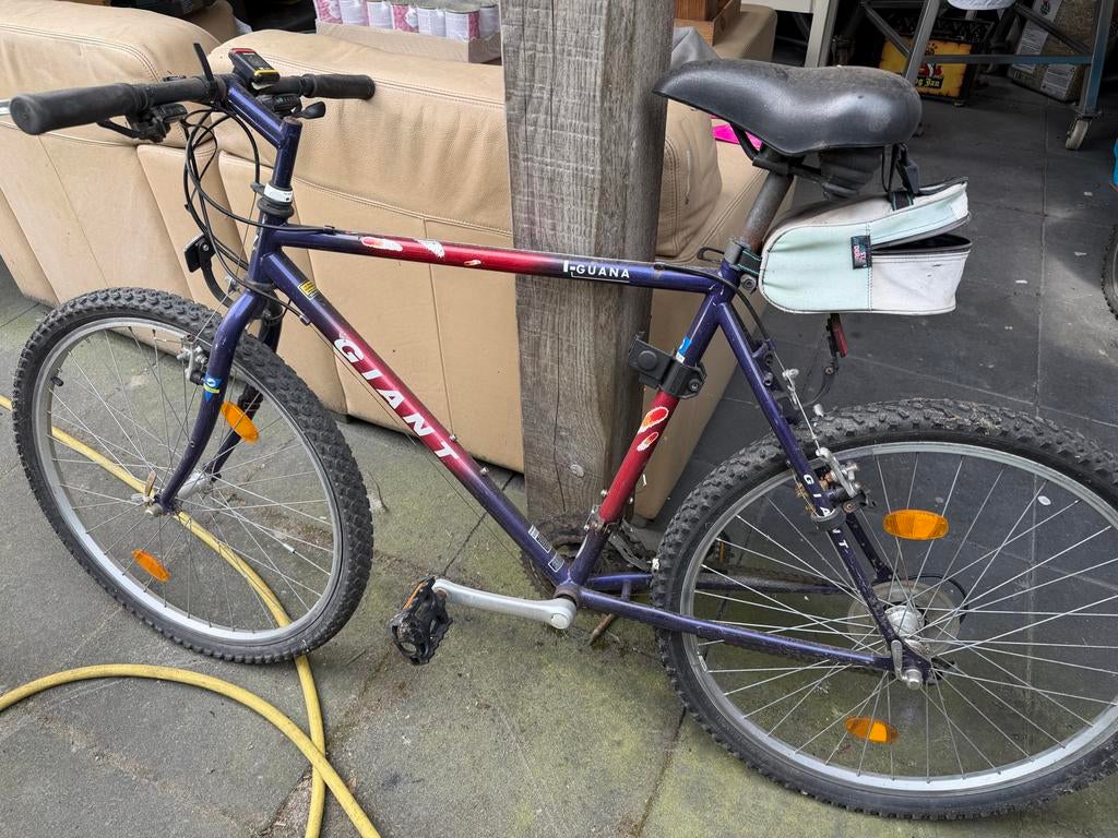 Giant I-guana mountainbike, Fietsen en Brommers, Fietsen | Mountainbikes en ATB, Ophalen, Gebruikt, Heren, Giant