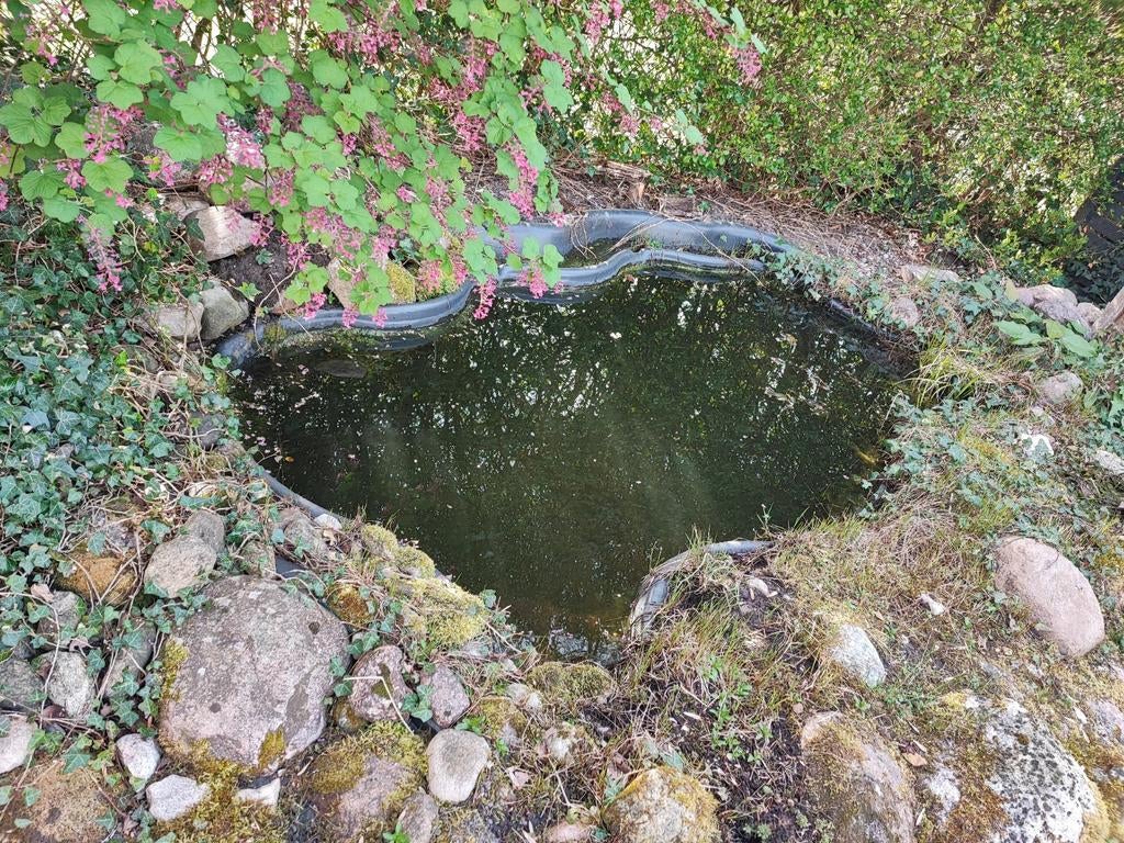 Gratis vijver met filterbak en algenlamp (zelf uitgraven), Tuin en Terras, Vijvers, Ophalen of Verzenden