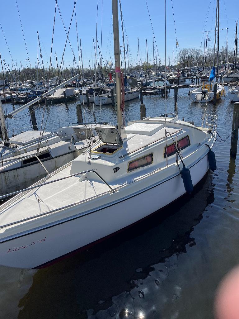 Daimio zeiljacht te koop 7 meter met buitenboordmotor, Watersport en Boten, Kajuitzeilboten en Zeiljachten, Ophalen, Gebruikt