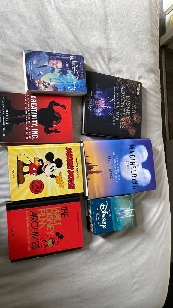 Verschillende pixar en disney boeken, Verzamelen, Ophalen of Verzenden, Overige figuren, Zo goed als nieuw, Overige typen
