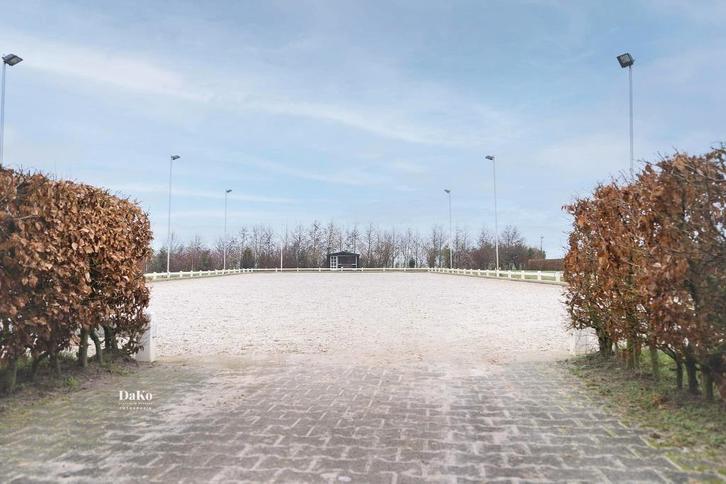 Paarden Pensionstalling Nigtevecht, Dieren en Toebehoren, Stalling en Weidegang, Opfok, Stalling, Weidegang, Toebehoren, 4 paarden of pony's of meer