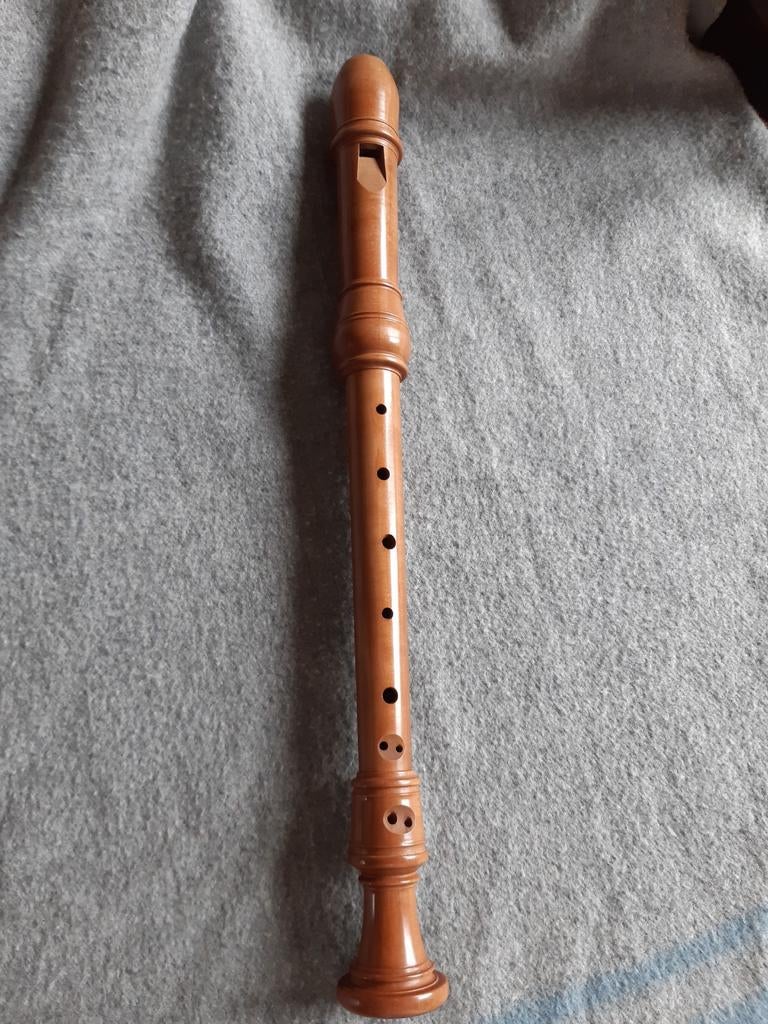Altfluit te koop, Muziek en Instrumenten, Ophalen, Zo goed als nieuw, Alt