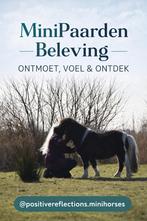 Mini paarden beleving, ontmoet, voel & ontdek, Dieren en Toebehoren, Ophalen of Verzenden, Nieuw, Overige soorten